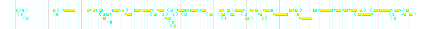 Genes detail