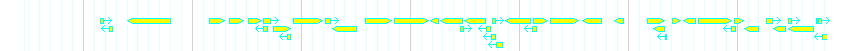 Genes detail