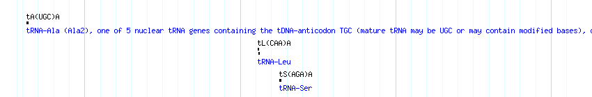tRNAs detail