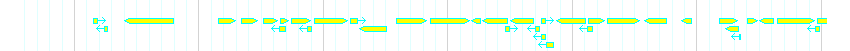 Genes detail