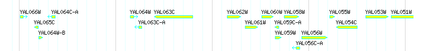 Genes detail