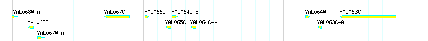 Genes detail