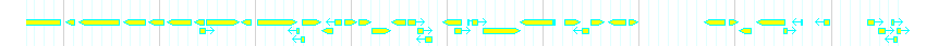 Genes detail