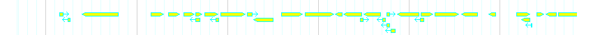 Genes detail