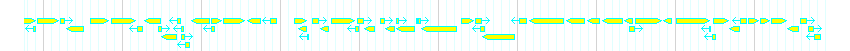 Genes detail