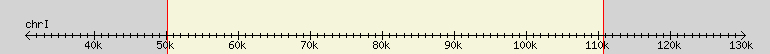 __scale__ region