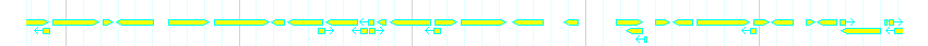 Genes detail