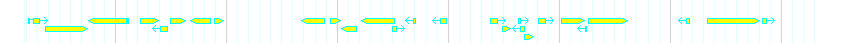 Genes detail