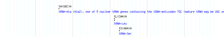 tRNAs detail