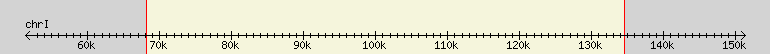 __scale__ region