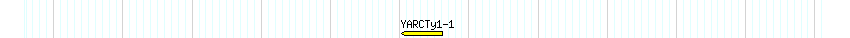 Transp detail