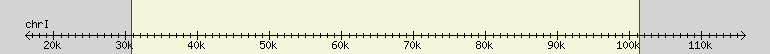 __scale__ region