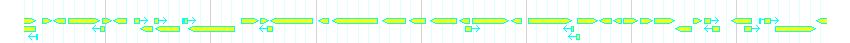 Genes detail