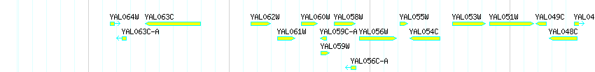 Genes detail