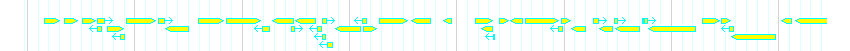 Genes detail