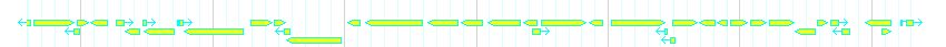 Genes detail