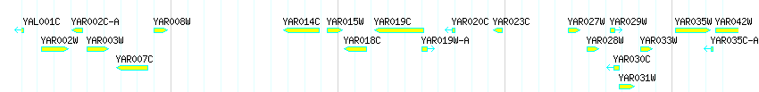 Genes detail