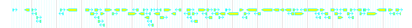 Genes detail