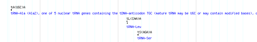 tRNAs detail