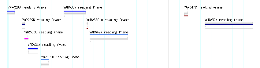 CDS detail
