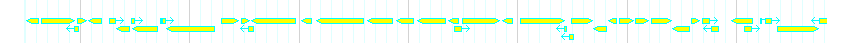 Genes detail