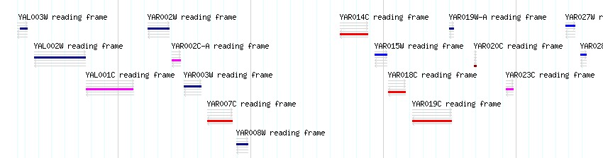 CDS detail