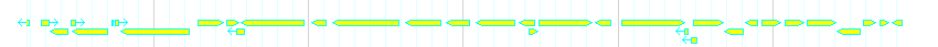 Genes detail