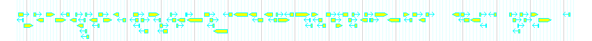 Genes detail