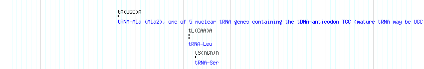 tRNAs detail