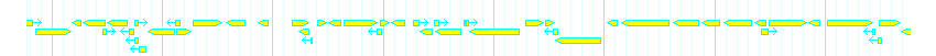 Genes detail
