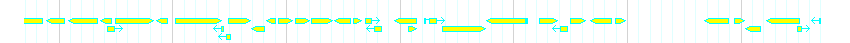 Genes detail