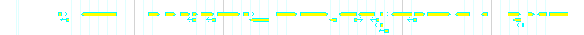 Genes detail