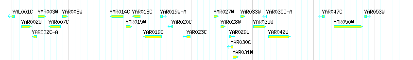 Genes detail