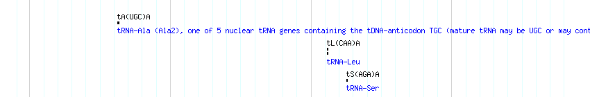 tRNAs detail