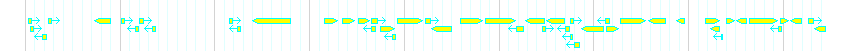 Genes detail