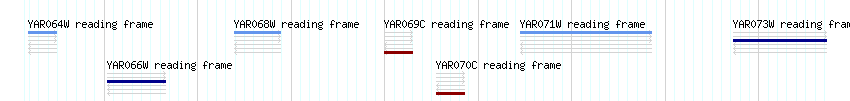 CDS detail