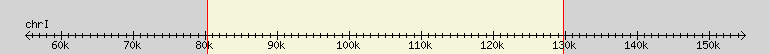 __scale__ region