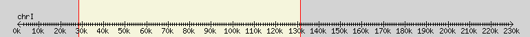 __scale__ overview