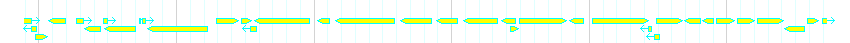 Genes detail