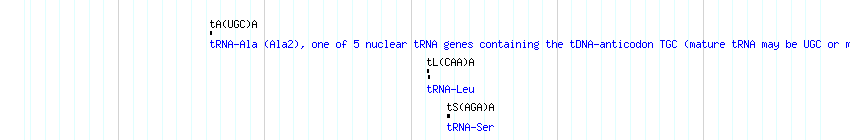 tRNAs detail