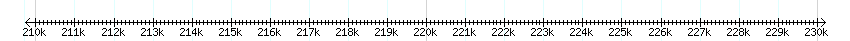 __scale__ detail