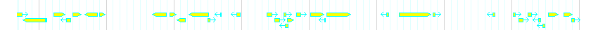 Genes detail