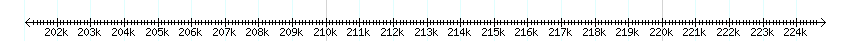 __scale__ detail