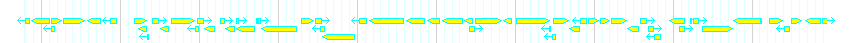 Genes detail