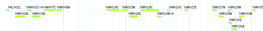 Genes detail