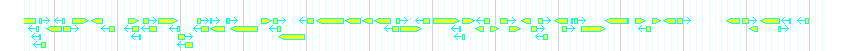 Genes detail