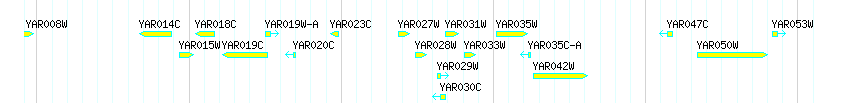 Genes detail