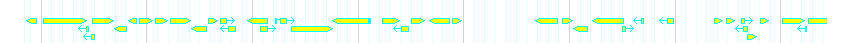 Genes detail