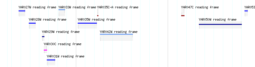 CDS detail