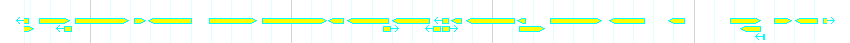 Genes detail